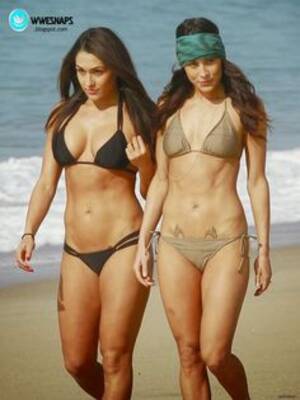 Bella Twins Porn Site - Bella Twins