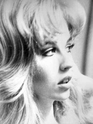 1980s porn stars with joey silv lady - Jeanne Silver: Scrapbooks of an AVN Hall of Famer - The Rialto Report