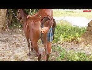 mare fisting videos - anus clitoris filly fist fisting tail mare - BestialitySexTaboo -  Bestiality Sex Taboo