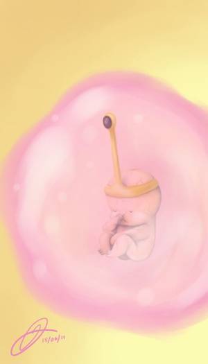 Embryo Princess Porn - Pictures showing for Embryo Princess Porn - www.mypornarchive.net