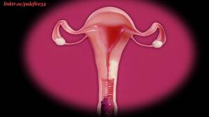 extreme uterus insertion hentai - cervix penetration Video List - Hentai Video