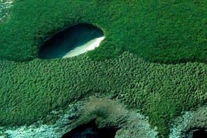 mexico hidden beach sex - HIDDEN BEACH