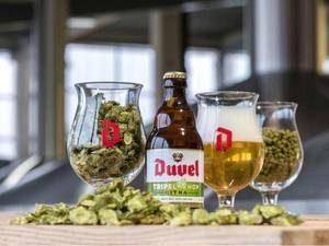 Abitar Sex - At 9.5 per cent our No 3 pick, the Citra, is a tad stronger than the  traditional Duvel it is the latest incarnation of