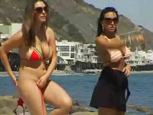 anal bitches in heat - 