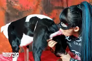 Canine Porn - Hard Dog Life\