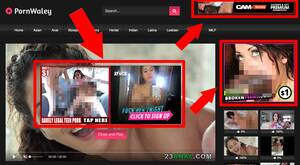 Adult Porn Site Ads - How to Monetize a Porn Site - Best Adult Affiliate Networks in 2021 -  OnlineAdrian