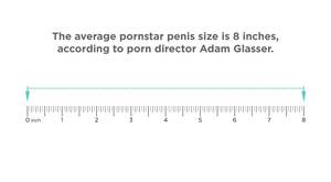 Average Penis Size Porn Star - Comparing The Average Penis Size And Pornstar Penis Size [2023]