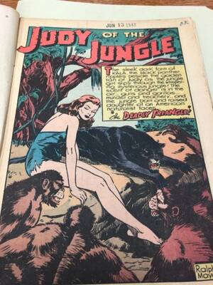 From The 1800s Vintage Porn Comics - Special Collections- Judy of the Jungle and Lack of Representation â€“  Representing Adolescence @ Pitt