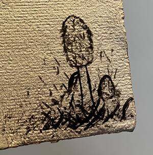 Amateur Porn Pen And Ink - Made ink with shaggy ink caps and wrote a letter using it, blew my little  mind! : r/mycology