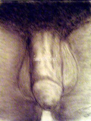 huge shemale penis pencil drawings - â€œCOCKâ€ by I-LENNOX, 2008