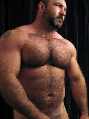 Lgbt Bears Porn - Bears and hairy men