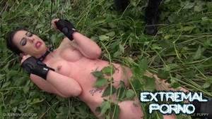 Nettle Porn - Nettle Puppy (Queensnake)