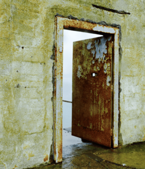 Johnny Test Joni West - Roaming Charges: Then They Walked - CounterPunch.org