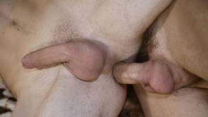 Gay Closeup - Close-up of raw cock in twink ass.