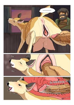 Deer Bestiality Porn - Stockings DEAR DEER WIFE LIFE - Original Hentai Blowjob - Hitomi.biz