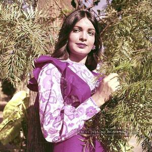 arveen babi indian actress bollywood nude - B'wood Stars During Their Modelling Days Photogallery - Times of India Â· Parveen  BabiTimes Of IndiaBollywood ...
