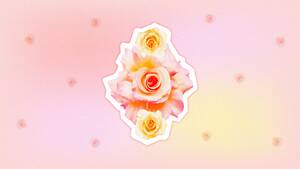 Naked Women Pussy Porn - Is My Vagina Normal? - Different Types of Vaginas