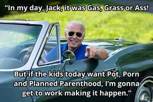 Laura Ingraham Fucking - Laura Ingraham says the Democratic platform is 'pot, porn and Planned  Parenthood' : r/PoliticalHumor