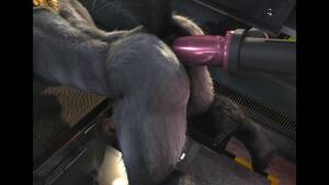 Furry Sex Machine Porn - Lachlan and Fucking Machine H0rs3 - Pornhub.com