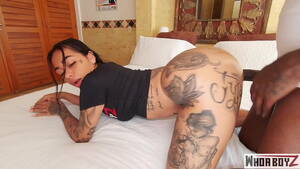 latina bbc whore - Latina slut getting bbc for the first Time - XNXX.COM