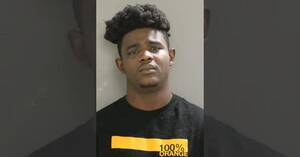 Chicago Teacher Porn Forum - Chicago Man Sexually Assaulted 7-Year-Old Relative During Virtual Class