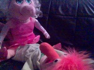 Muppets Porn - Muppet Porn