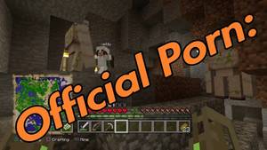 Minecraft Transformation Porn - Official Minecraft PORN