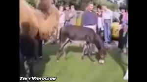 Metacafe - From www.metacafe.com] 2370350.9596259.11 - XVIDEOS.COM