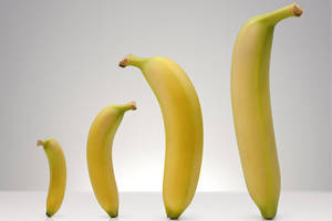 Normal Penis Porn - Bananas different sizes