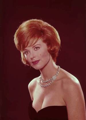 antique erotica tina louise - Tina Louise pictures and photos