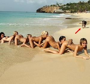 Best Sex Fails - bunch of girls at the beach with dog