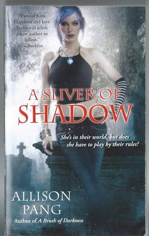 Kim Possible Porn Forced Into Diapers - A Sliver of Shadow (Abby Sinclair, No. 2): Pang, Allison: 9781439198346:  Amazon.com: Books