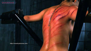 elite pain whipping scenes - The Experiment â€“ ElitePain Public Whipping Films