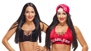 bella twins anal sex - Biography: WWE Legends' Preview: Nikki Bella On Serious Soccer Injury â€“  Hollywood Life