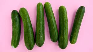 big dick cock hard erection - Average Penis and Erection Size: What's \