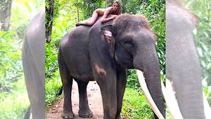 beach nude russia - Russian diaspora in Bali raises locals' hackles over â€œpublic fornicationâ€,  â€œinternet porn ring at Uluwatu involving Australian pro surfer in Batman  maskâ€ and wild parties in Hindu temples! - BeachGrit