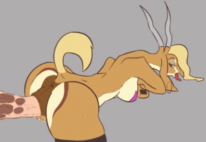 Female Gazelle Anthro Porn - Rule 34 - 2d 2d animation animated anthro anus disembodied penis disney duo  faceless male female fur furry gazelle gazelle (zootopia) grey background  large breasts loop male mammal penis pussy pussy grip