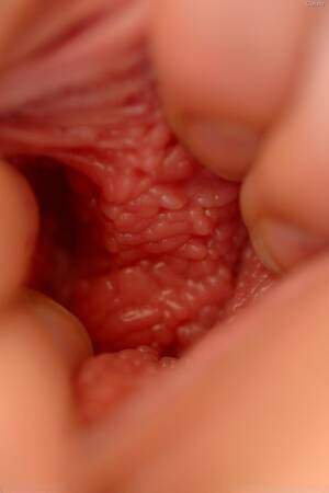 inside pussy - Inside Pussy Porn Pics & Naked Photos - PornPics.com