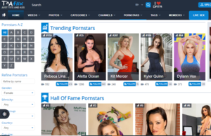 Best Porn On The Web - Tnaflix â€“ The Community Porn Site