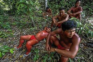 Gay Porn Brazilian Jungle Tribes - Gay Porn Brazilian Jungle Tribes | Gay Fetish XXX