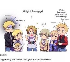 Hetalia Denmark X America Porn - And norway is flipping america back lmao