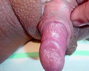 Hd Big Clit - Its.PORN - Big Clit