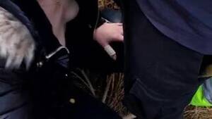 girlfriend blows stranger - Episode 4 Sucking Dick In The Forest (Girlfriend Blows Stranger) - FAPCAT