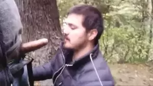 cocksucker in the woods - GREAT COCKSUCKER IN THE WOODS | xHamster