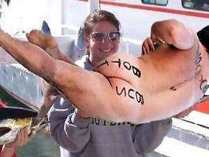 Alt Porn Eels - Alt Porn Eels | Sex Pictures Pass