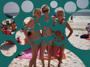 Beach Memes - vacation fun summer leisure