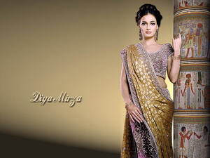 Diya Mirza Porn - HD wallpaper: Diya Mirza In Colorfull Saree, women's brown and gray sari  dress with text overlay | Wallpaper Flare