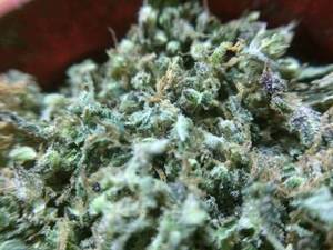 Cannabis - hash-420:porn as fuck