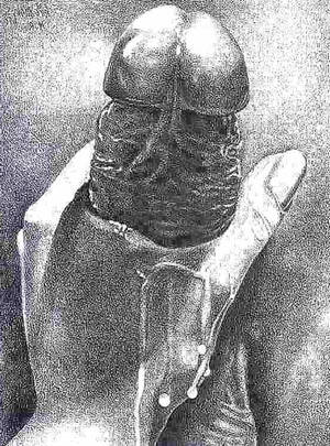 erotic blowjob painting - Erotic Blowjob Art Drawing Pencil - Sexdicted