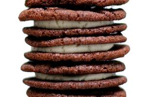 Alexis Breeze Creampie - homemade oreos â€“ smitten kitchen